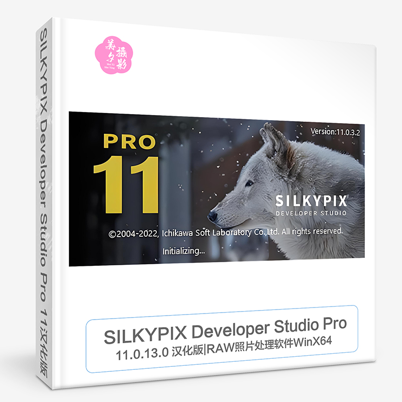 SILKYPIX Developer Studio Pro 11.0.13.0 x64汉化版|WinX64