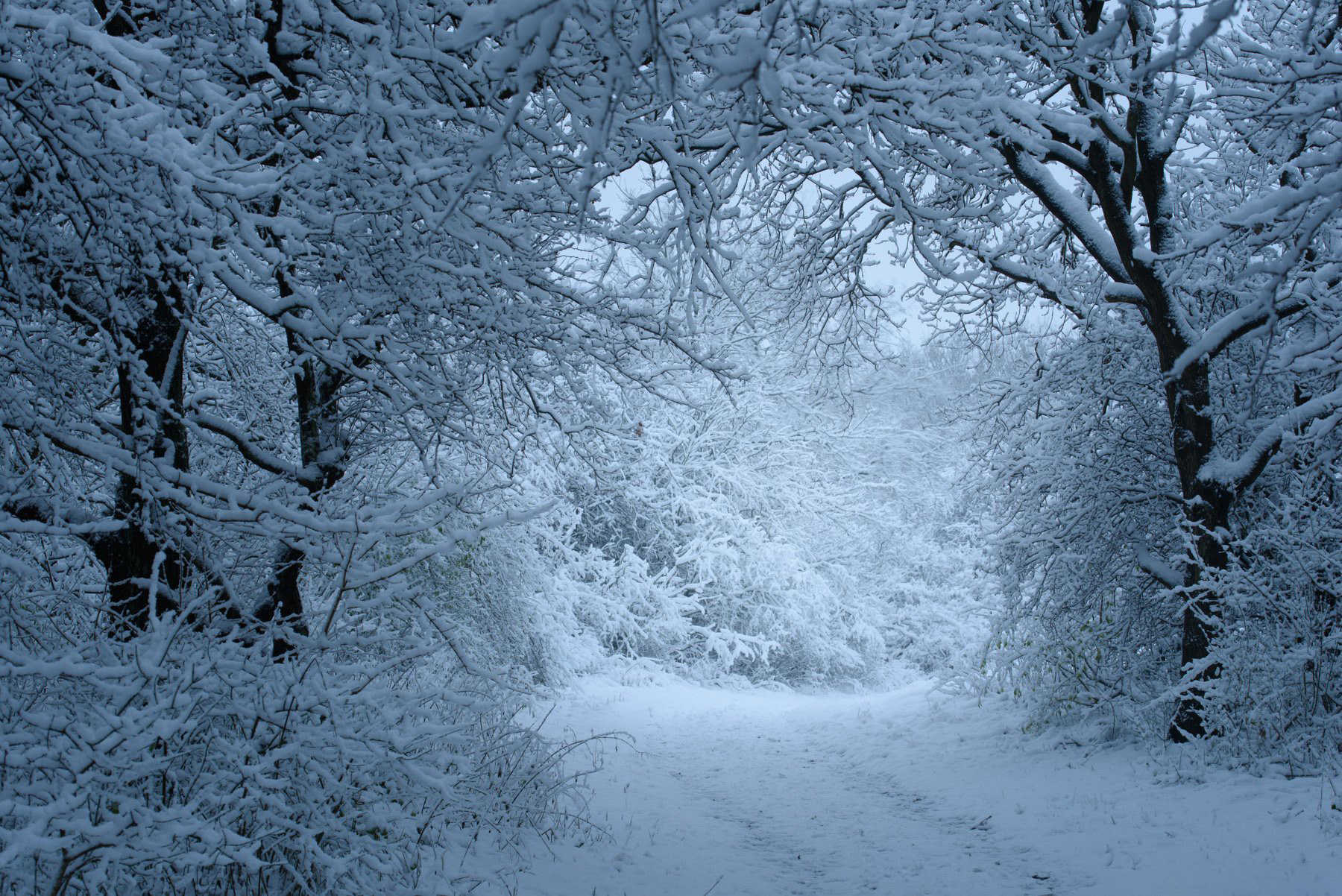 图片[1]-风光摄影师 Daniel Laan 风光四季摄影后期6案例教程-中英字幕-美夕摄影资源