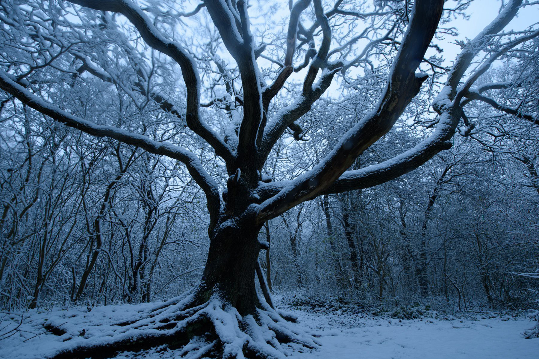 图片[3]-风光摄影师 Daniel Laan 风光四季摄影后期6案例教程-中英字幕-美夕摄影资源