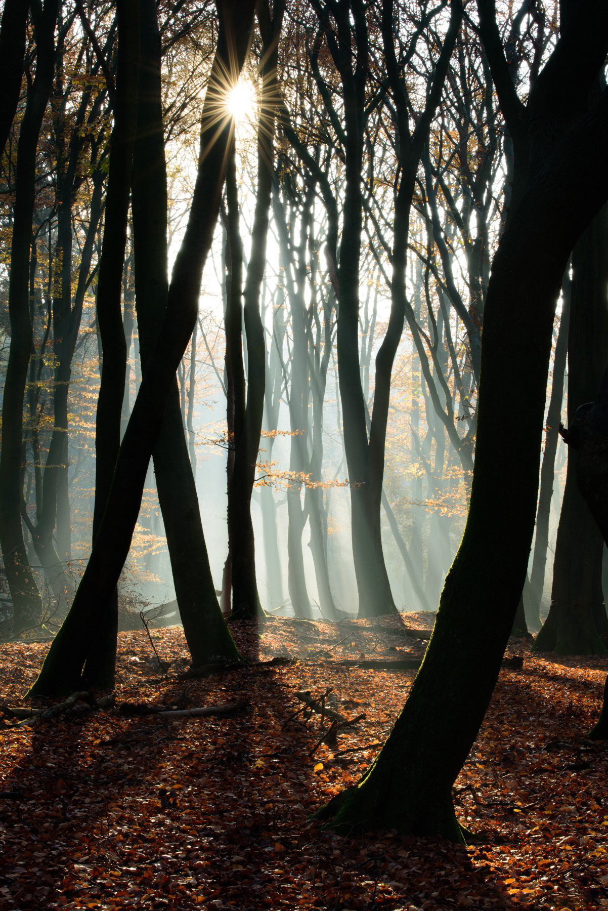 图片[4]-风光摄影师 Daniel Laan 风光四季摄影后期6案例教程-中英字幕-美夕摄影资源