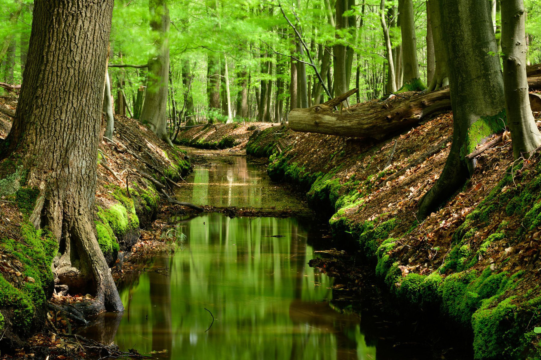 图片[5]-风光摄影师 Daniel Laan 风光四季摄影后期6案例教程-中英字幕-美夕摄影资源