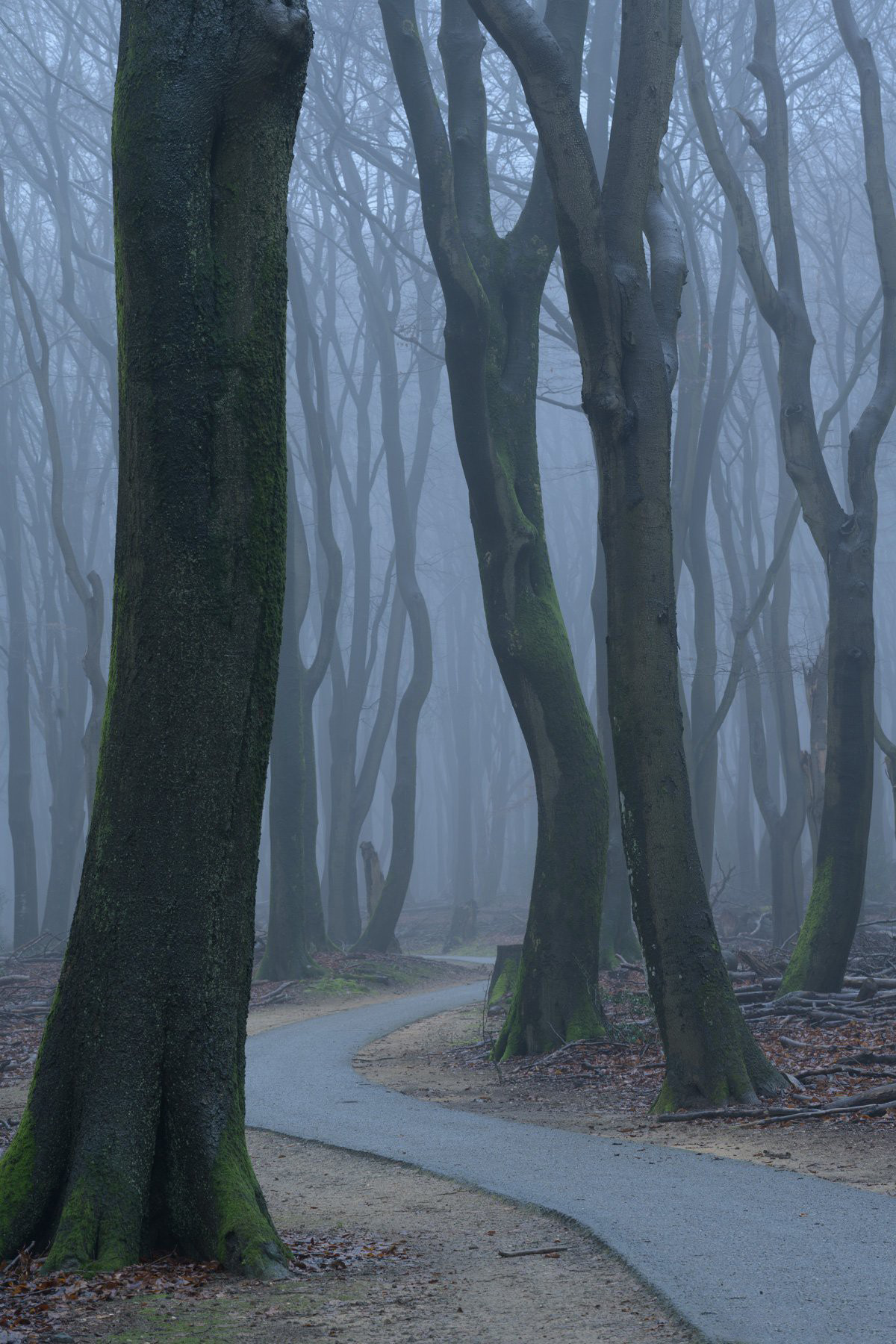 图片[6]-风光摄影师 Daniel Laan 风光四季摄影后期6案例教程-中英字幕-美夕摄影资源