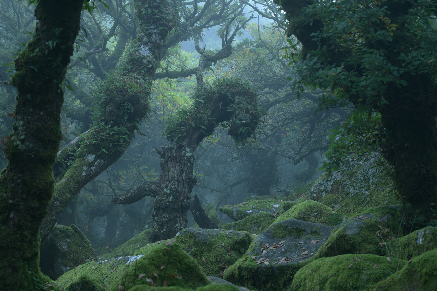 图片[7]-风光摄影师 Daniel Laan 风光四季摄影后期6案例教程-中英字幕-美夕摄影资源