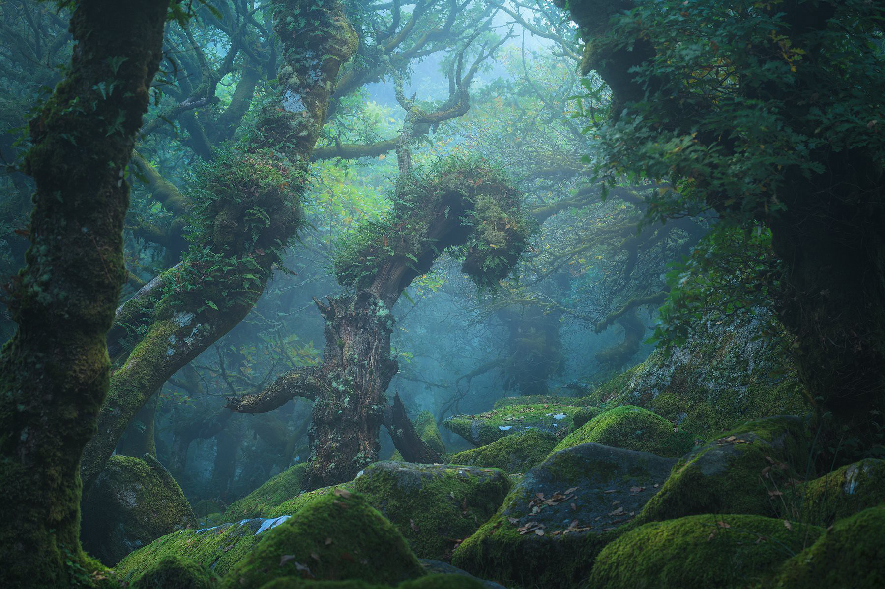 图片[8]-风光摄影师 Daniel Laan 风光四季摄影后期6案例教程-中英字幕-美夕摄影资源