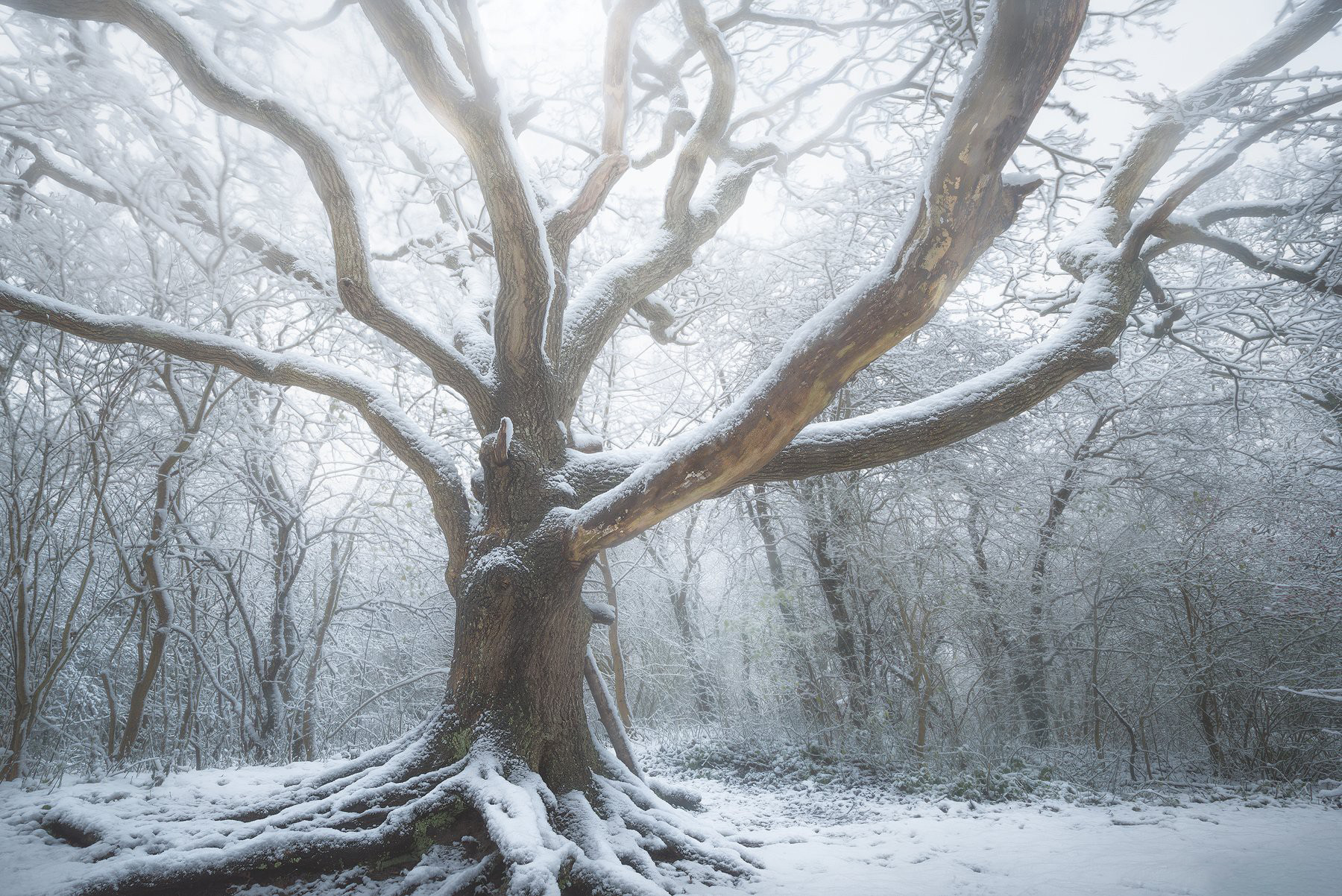图片[9]-风光摄影师 Daniel Laan 风光四季摄影后期6案例教程-中英字幕-美夕摄影资源