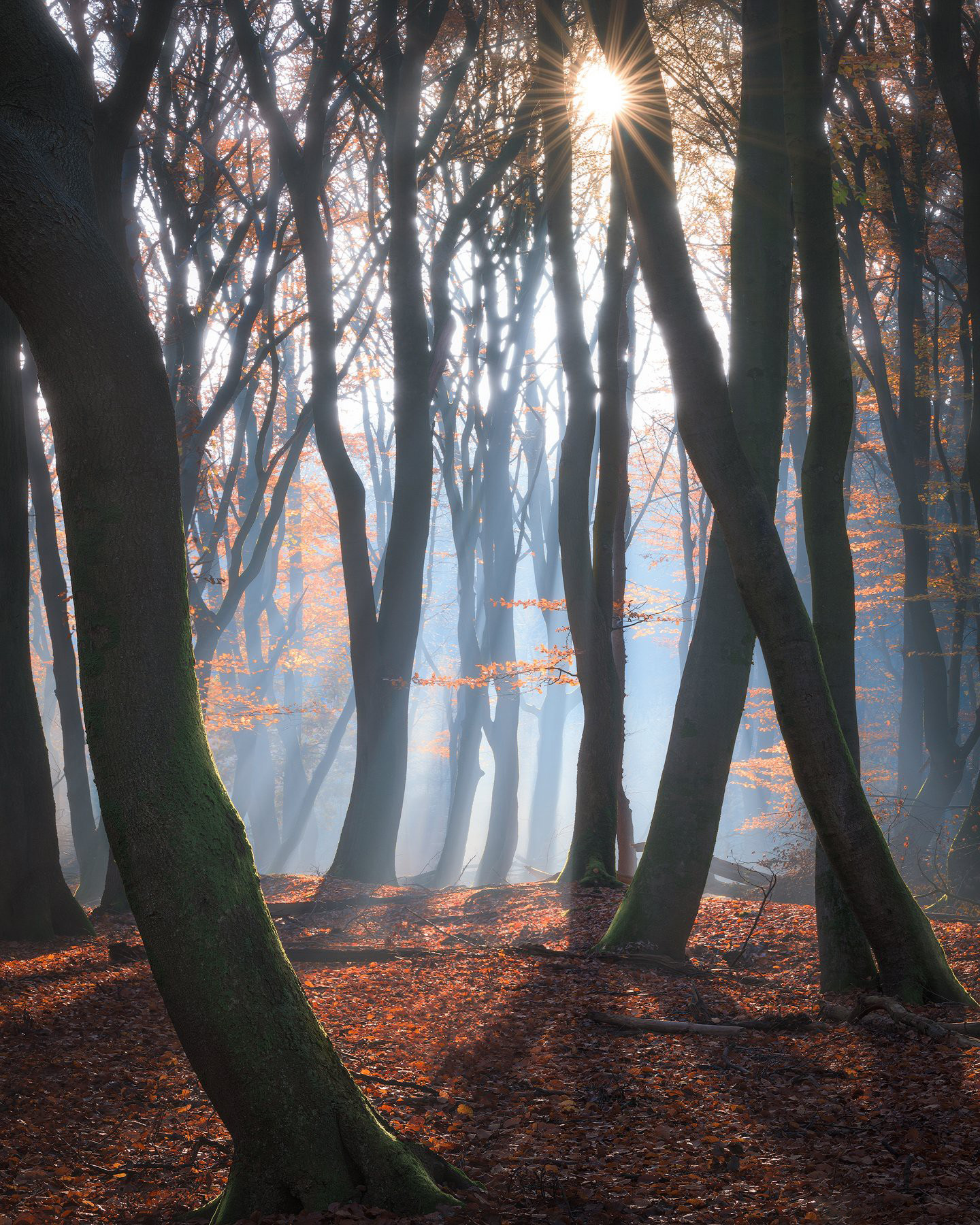 图片[10]-风光摄影师 Daniel Laan 风光四季摄影后期6案例教程-中英字幕-美夕摄影资源
