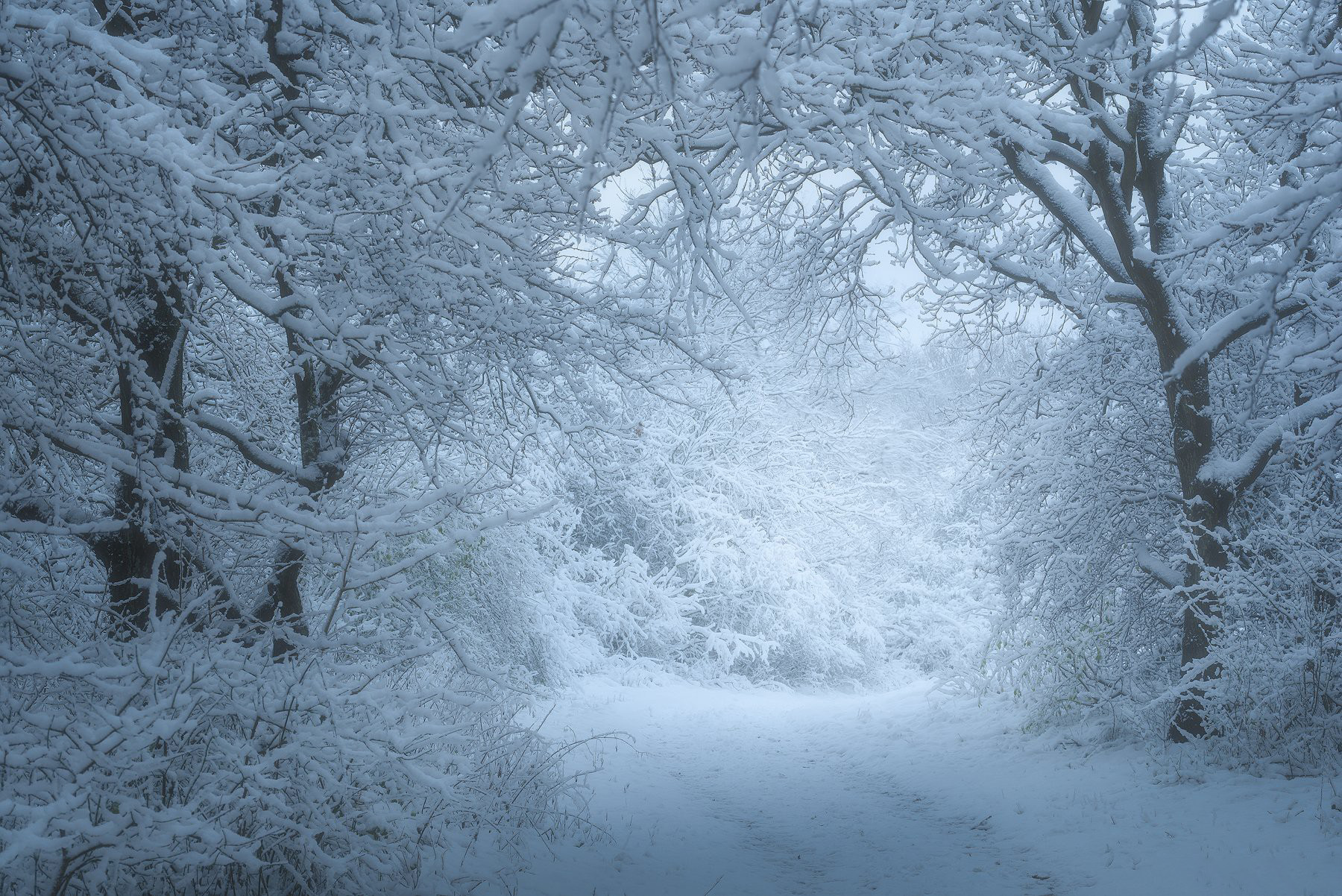 图片[11]-风光摄影师 Daniel Laan 风光四季摄影后期6案例教程-中英字幕-美夕摄影资源