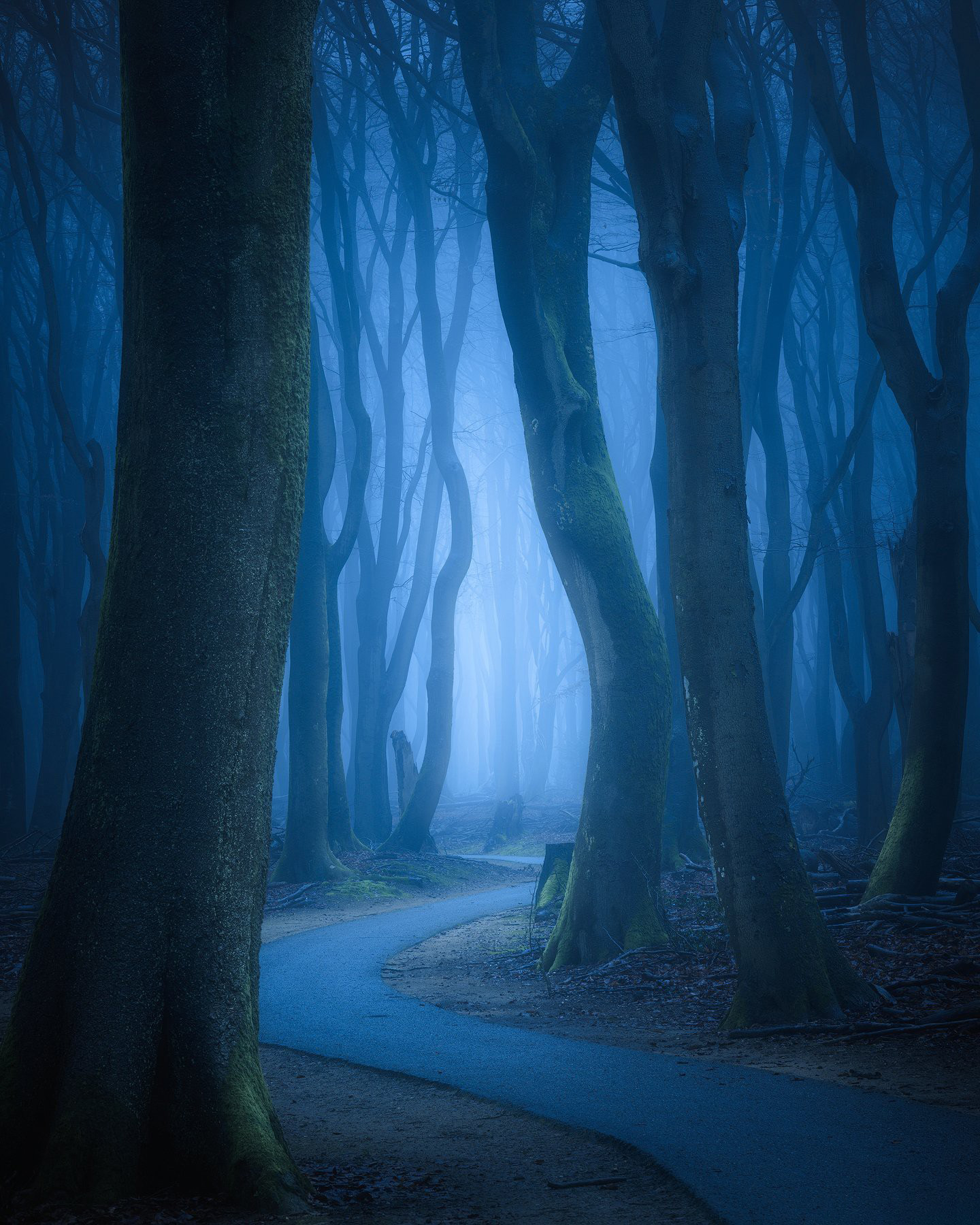 图片[12]-风光摄影师 Daniel Laan 风光四季摄影后期6案例教程-中英字幕-美夕摄影资源