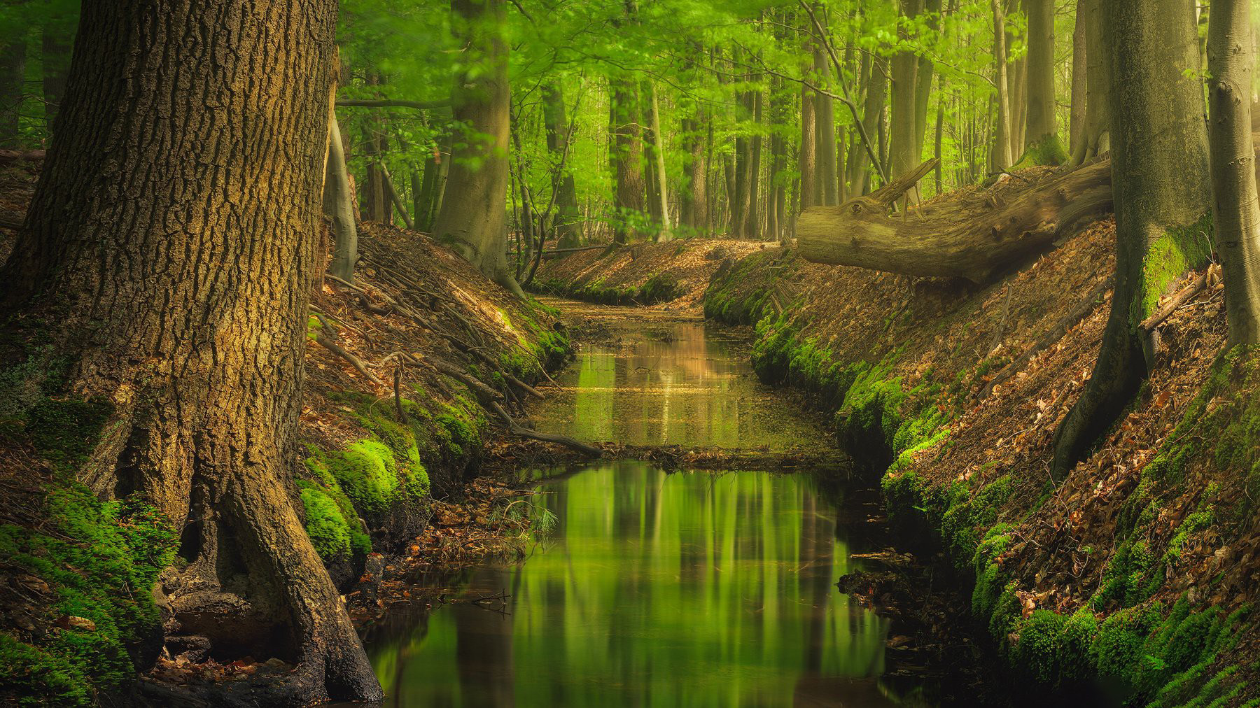 图片[13]-风光摄影师 Daniel Laan 风光四季摄影后期6案例教程-中英字幕-美夕摄影资源