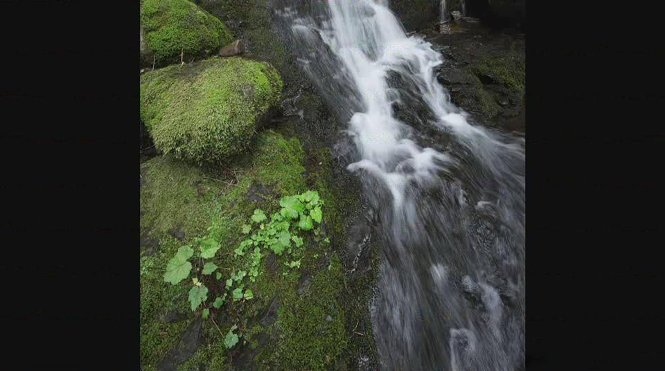 图片[5]-风光摄影师Justin Reznick拍摄小溪流水瀑布教程-中英字幕-美夕摄影资源