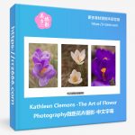 Kathleen Clemons-The Art of Flower Photography微距花卉摄影-中文字幕-美夕摄影资源