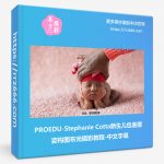 PROEDU-Stephanie Cotta新生儿包裹摆姿构图布光摄影教程-中文字幕-美夕摄影资源