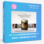 SLR Lounge完整的婚纱婚礼摄影培训系统教程(8套合集)中文字幕-美夕摄影资源