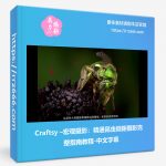 Craftsy –宏观摄影:精通昆虫微距摄影完整指南教程-中文字幕-美夕摄影资源