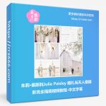 朱莉·佩斯利Julie Paisley 婚礼当天人像摄影完全指南视频教程-中文字幕-美夕摄影资源