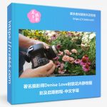 著名摄影师Denise Love创意花卉静物摄影及后期教程-中文字幕-美夕摄影资源