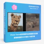 Chase Teron的终极野生动物摄影及后期套装教程附RAW素材-中英字幕-美夕摄影资源