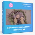 摄影师Ana Brandt创意新生儿包裹裹布造型教程合集-中文字幕-美夕摄影资源
