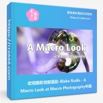 宏观摄影微距摄影-Blake Rudis - A Macro Look at Macro Photography中英字幕-美夕摄影资源
