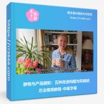 静物与产品摄影:五种改进构图与风格的方法视频教程-中英字幕-美夕摄影资源