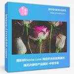 摄影师Denise Love 用自然光创造美丽玫瑰花卉静物产品摄影-中英字幕-美夕摄影资源
