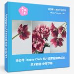 摄影师 Tracey Clark 照片摄影构图合成的艺术教程-中英字幕-美夕摄影资源