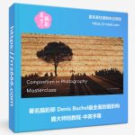 著名摄影师 Denis Buchel最全面的摄影构图大师班教程-中英字幕-美夕摄影资源