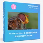 Nic Van Oudtshoorn-让微距摄影和焦点堆叠变得非常简单-中英字幕-美夕摄影资源