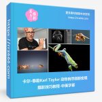 卡尔·泰勒Karl Taylor动物自然微距宏观摄影技巧教程-中英字幕-美夕摄影资源