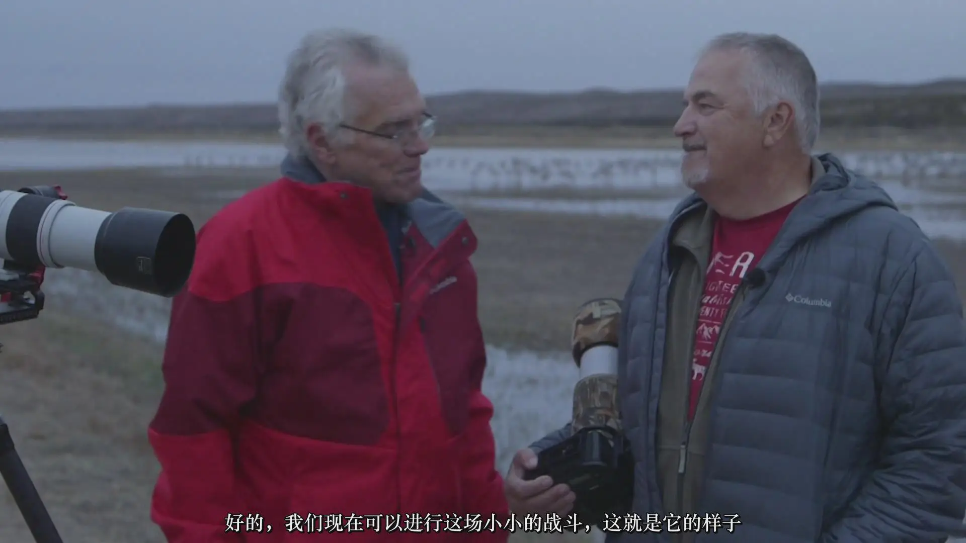图片[12]-摄影师Rick Sammon拍摄叹为观止的鸟类摄影构图指南教程-中文字幕