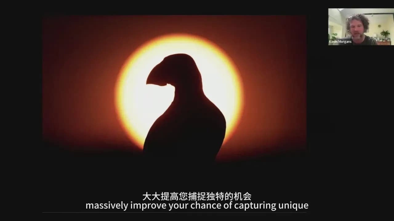图片[4]-Kevin Morgans - 野生动物摄影之海鸟摄影的艺术教程-中英字幕