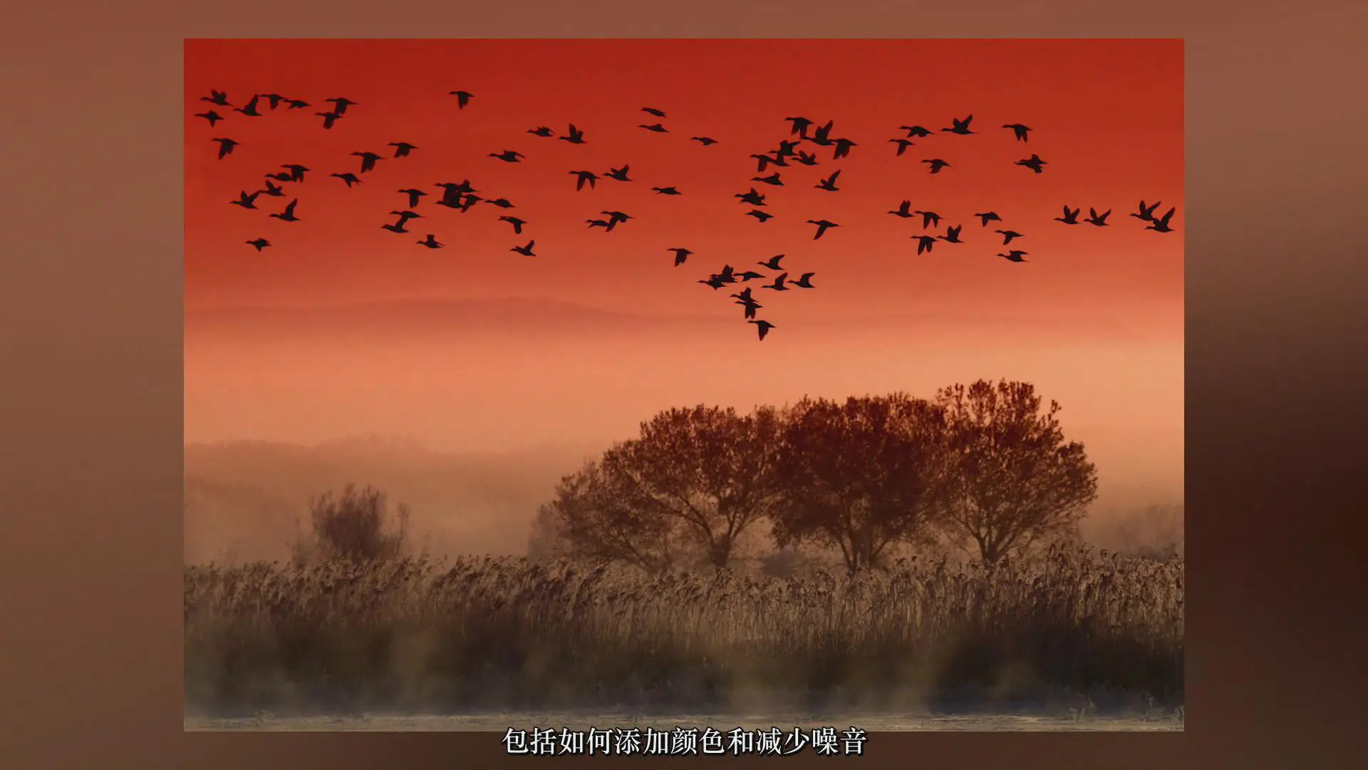 图片[5]-摄影师Rick Sammon拍摄叹为观止的鸟类摄影构图指南教程-中文字幕