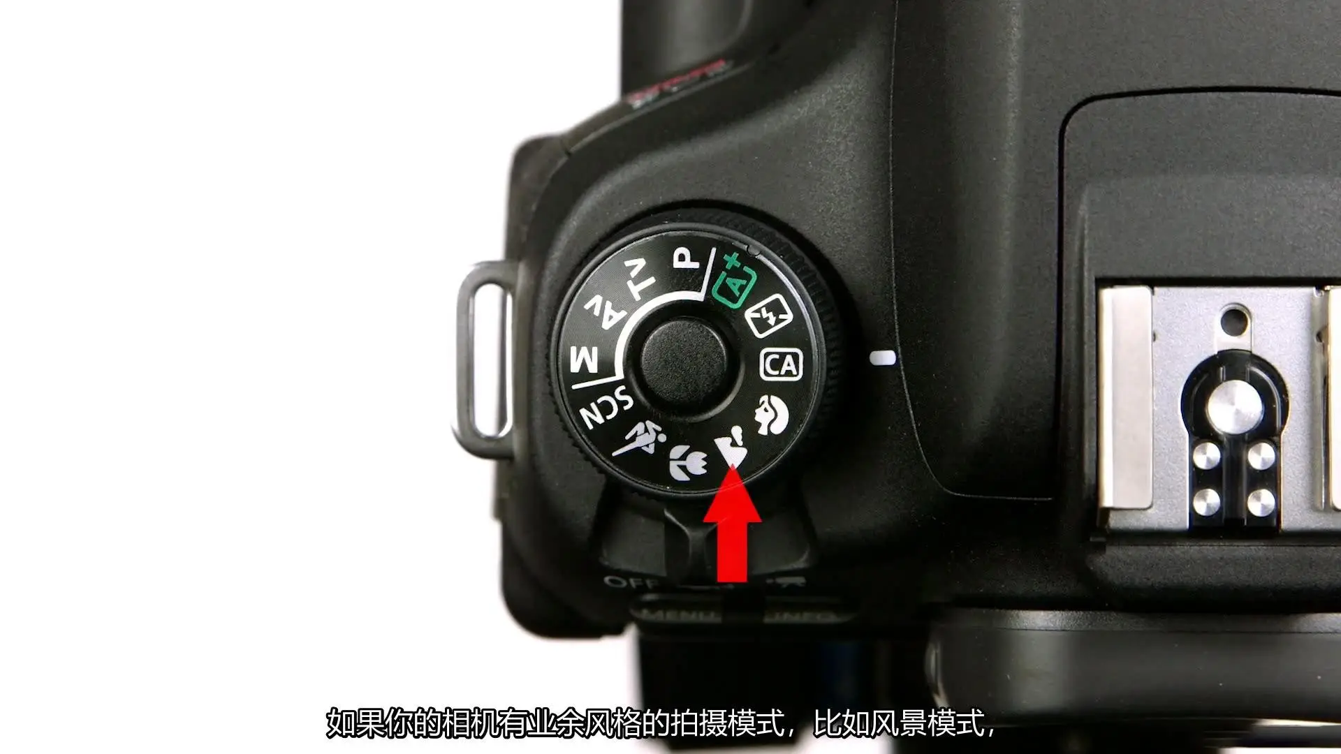 图片[3]-KelbyOne-Larry Becker掌握相机对焦拍出超清晰照片技巧-中文字幕
