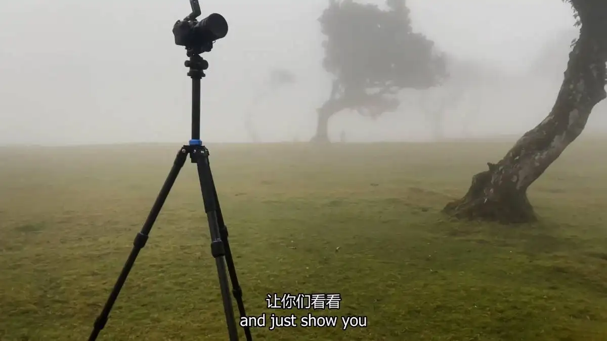 图片[6]-摄影师Nigel Danson掌握远景林地海景风光摄影完整第二季-中英字幕-美夕摄影
