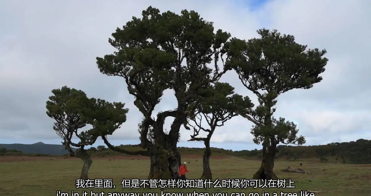 图片[7]-摄影师Nigel Danson掌握远景林地海景风光摄影完整第二季-中英字幕-美夕摄影