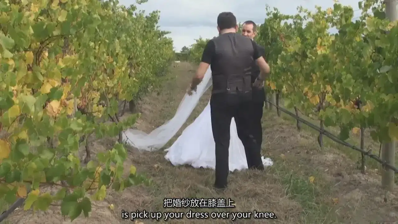 图片[9]-Jerry Ghionis-Travis & Sarah 婚礼现场跟拍教程-独家精翻中英字幕