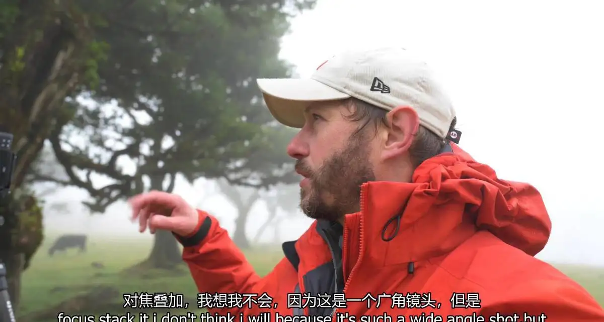 图片[8]-摄影师Nigel Danson掌握远景林地海景风光摄影完整第二季-中英字幕-美夕摄影