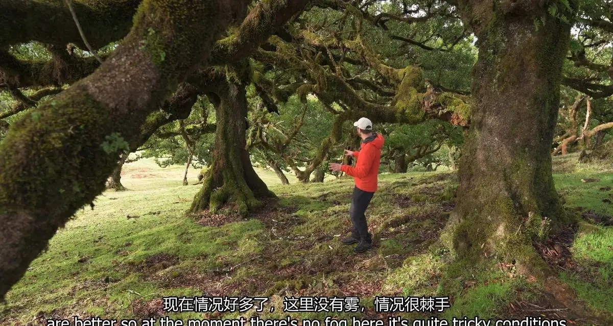 图片[9]-摄影师Nigel Danson掌握远景林地海景风光摄影完整第二季-中英字幕-美夕摄影