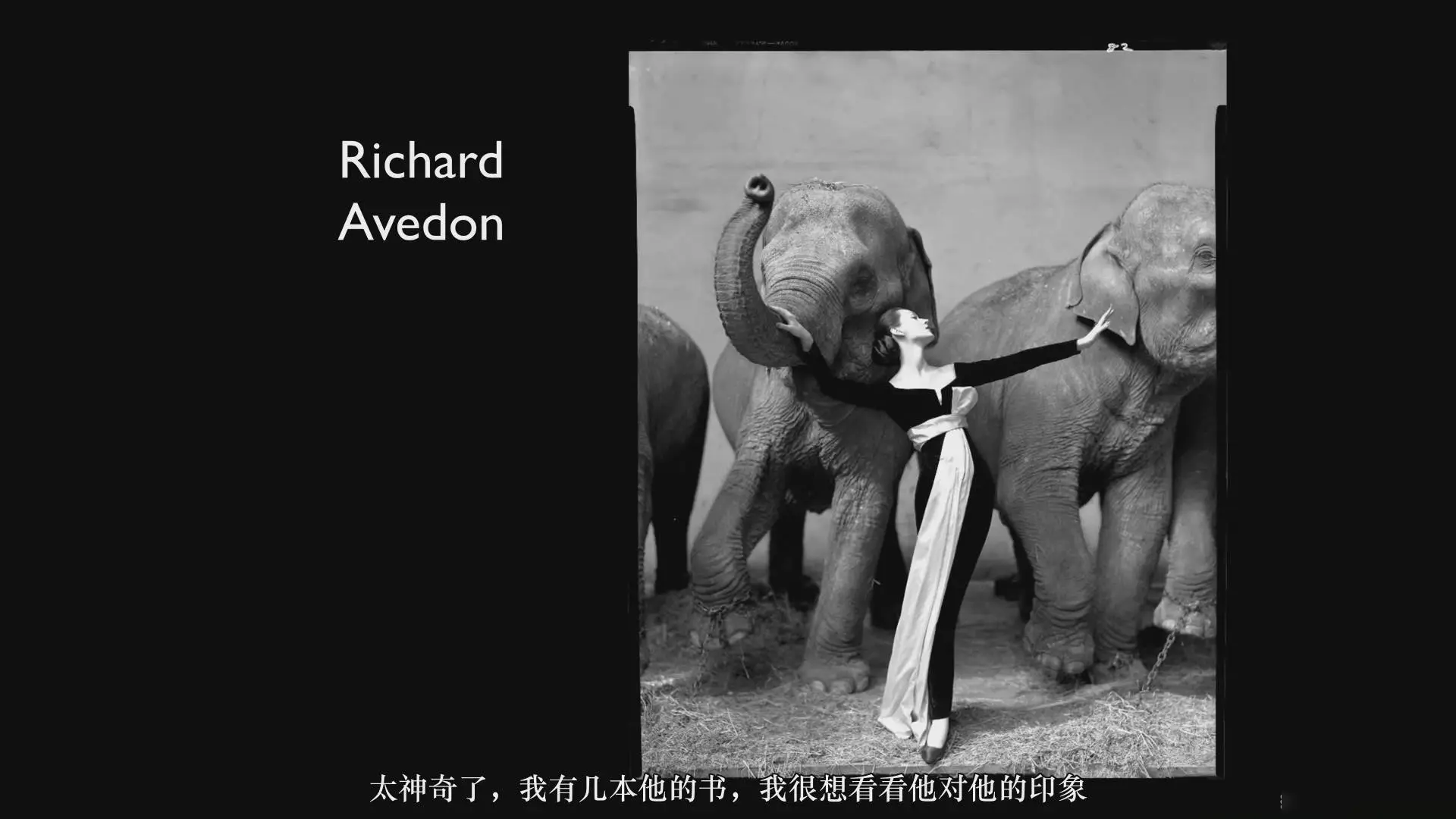 图片[11]-Estudio Guti-摄影构图-掌握构图的艺术和科学完整教程-中文字幕-美夕摄影