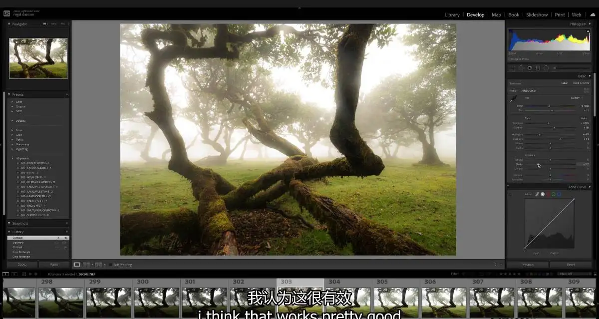 图片[11]-摄影师Nigel Danson掌握远景林地海景风光摄影完整第二季-中英字幕-美夕摄影