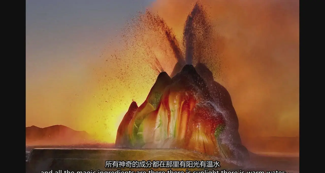图片[16]-弗兰斯·兰廷(Frans Lanting)自然风光摄影的艺术教程-中英字幕-美夕摄影