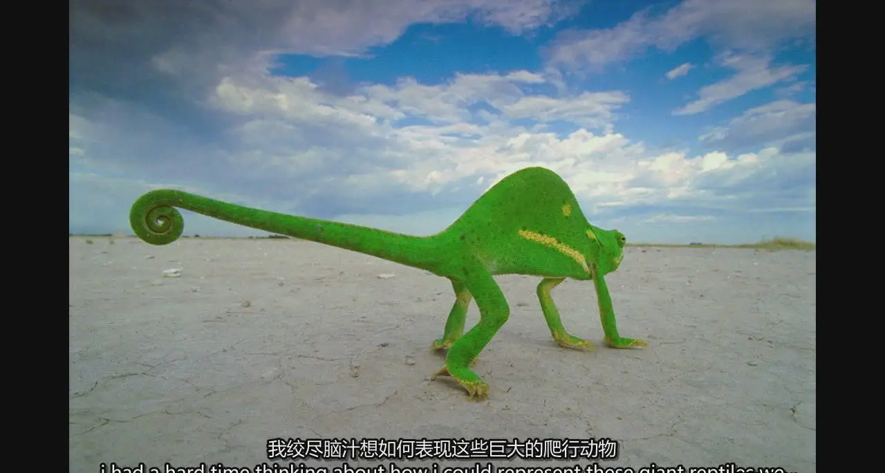 图片[19]-弗兰斯·兰廷(Frans Lanting)自然风光摄影的艺术教程-中英字幕-美夕摄影