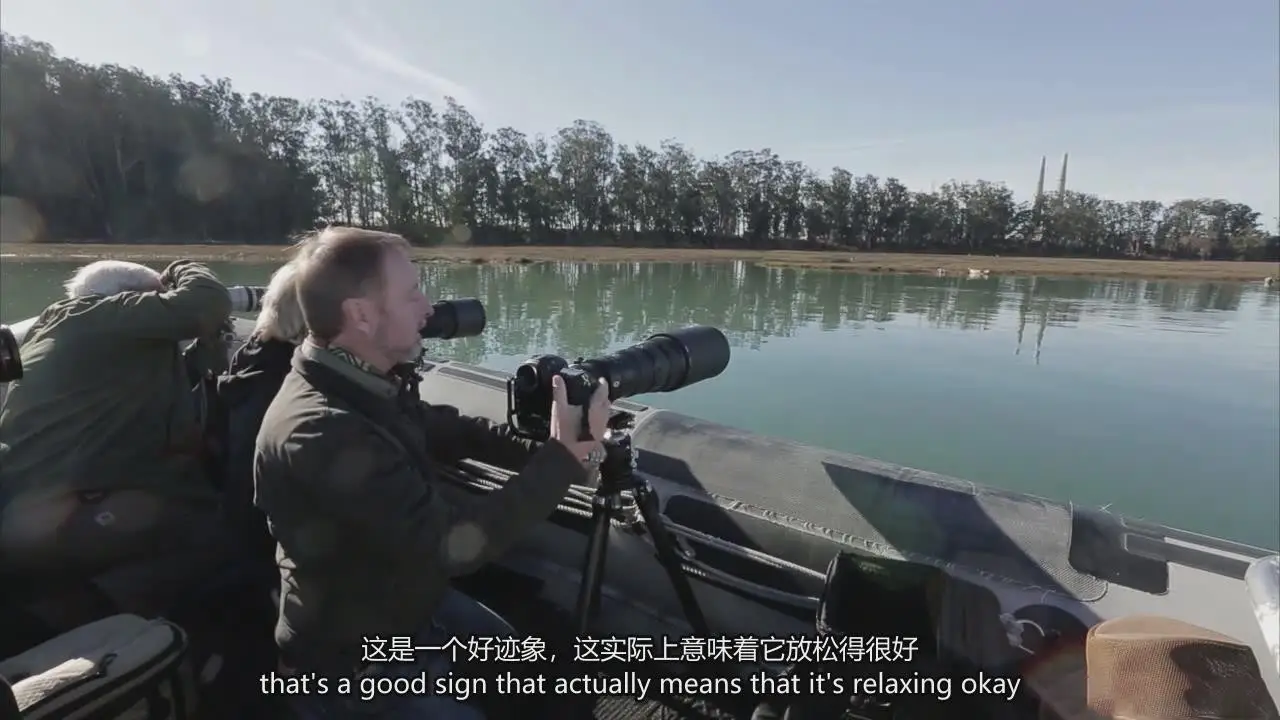 图片[3]-弗兰斯·兰廷(Frans Lanting)自然风光摄影的艺术教程-中英字幕-美夕摄影