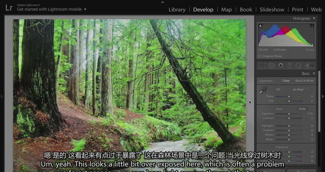 图片[5]-弗兰斯·兰廷(Frans Lanting)自然风光摄影的艺术教程-中英字幕-美夕摄影