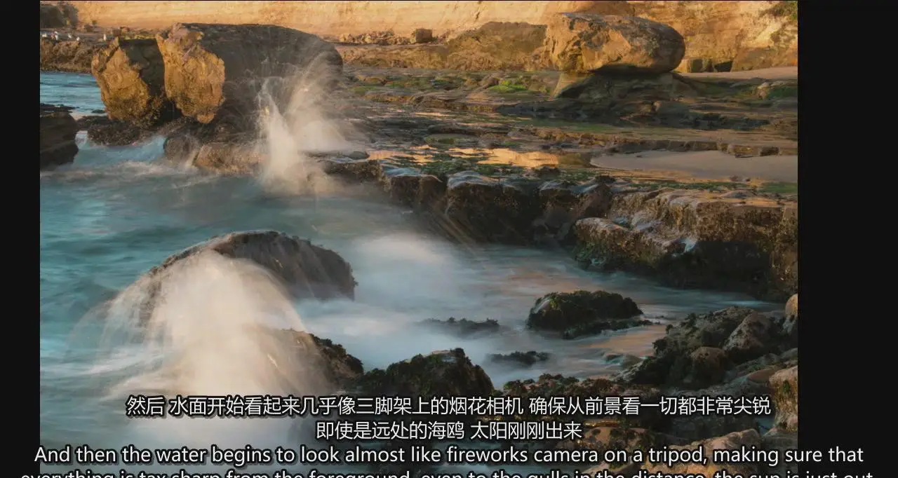 图片[7]-弗兰斯·兰廷(Frans Lanting)自然风光摄影的艺术教程-中英字幕-美夕摄影