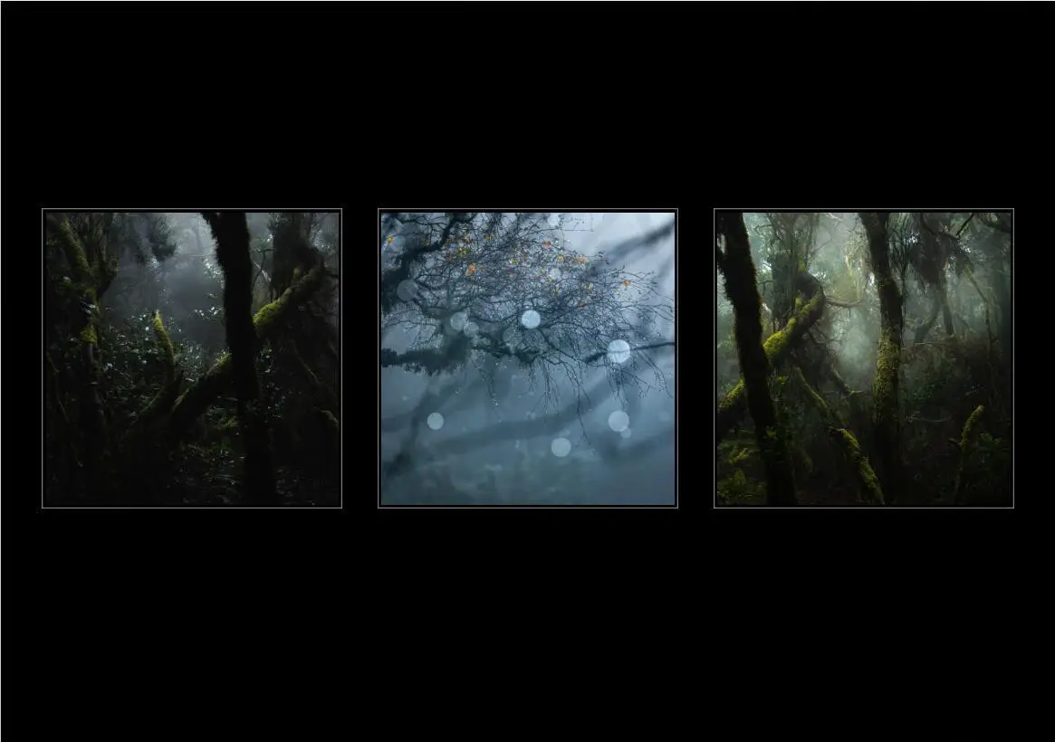 图片[2]-风光摄影师 Alister Benn 了解风景摄影中色彩的意义电子书-美夕摄影