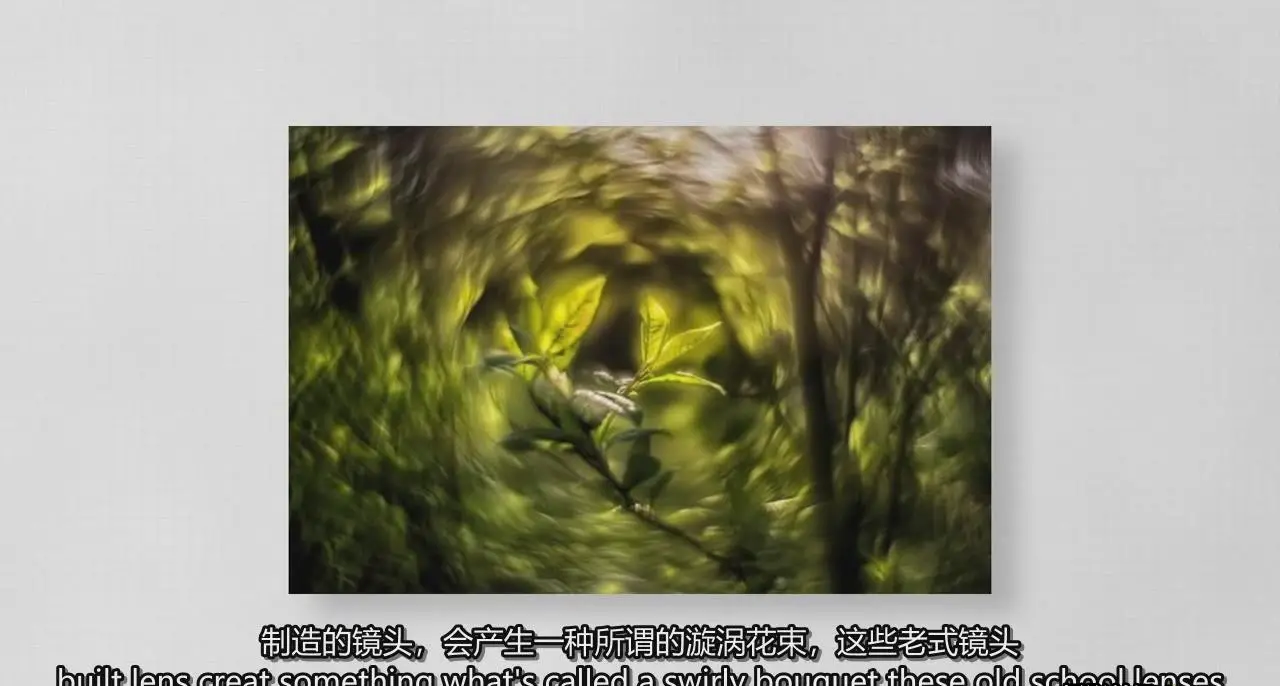 图片[4]-电影视频拍摄基础知识-相机类型.传感器.颜色设置教程-中英字幕-美夕摄影