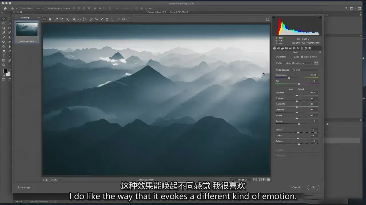 图片[7]-摄影师William Patino单色电影风光摄影及后期教程-精翻中英字幕-美夕摄影